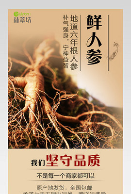 人参的极致妙用 从滋补良药到现代设计的全新演绎