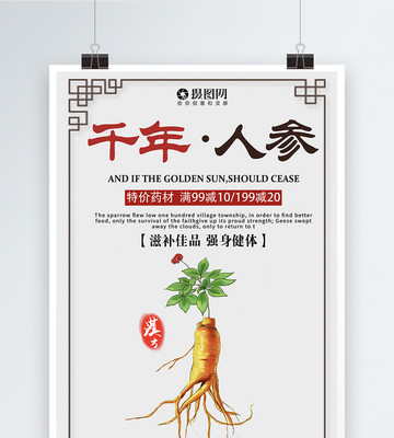 千年人参 大自然的鬼斧神工与生命之韵